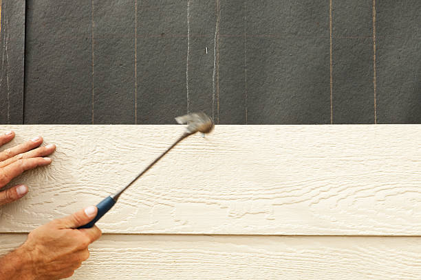 Best Stone Veneer Siding  in Scotts Valley, CA